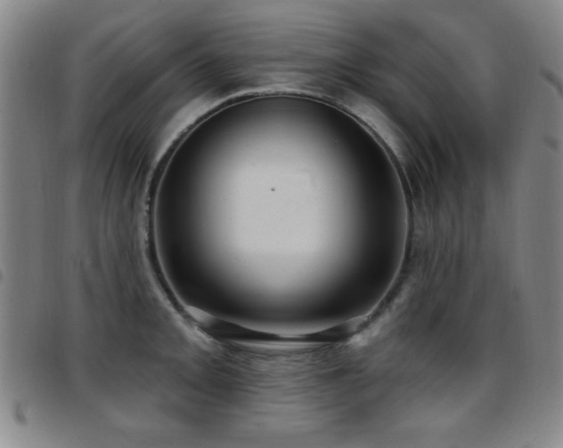 X0000097891093200803141327