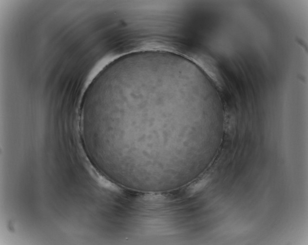 X0000097891094200803141327