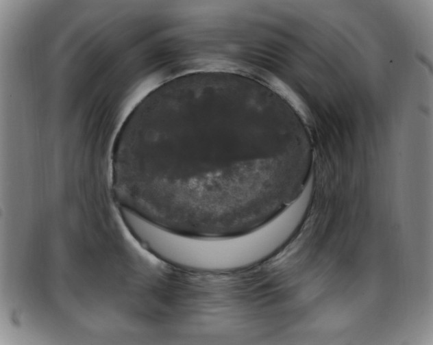X0000097891095200803141327