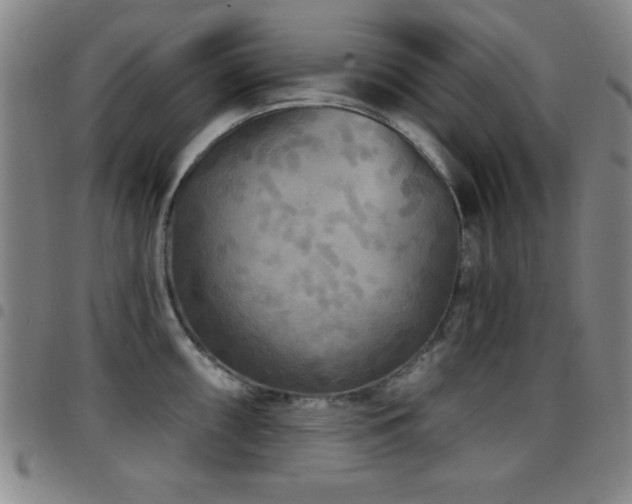 X0000097891098200803141327