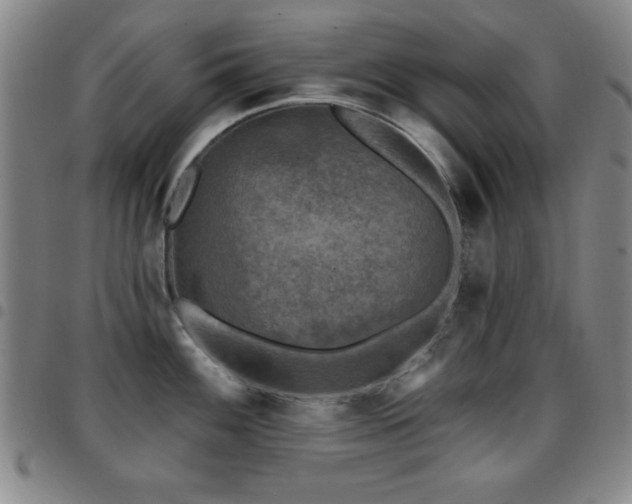 X0000097891100200803141327