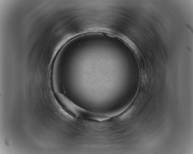 X0000097891102200803141327