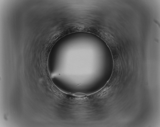 X0000097891105200803141326