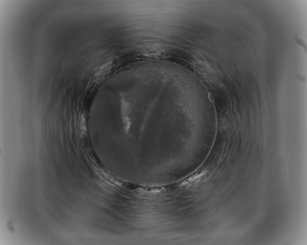 X0000097891106200803141326
