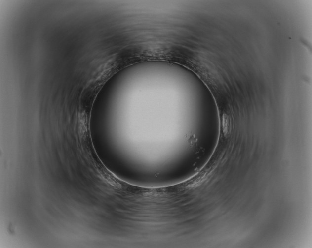 X0000097891107200803141326