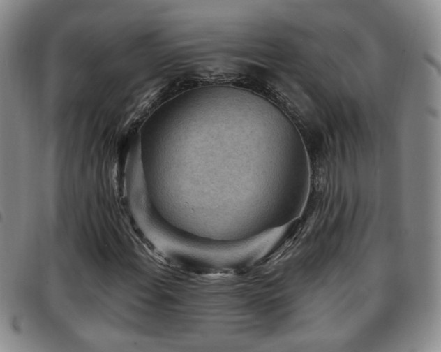 X0000097891108200803141326