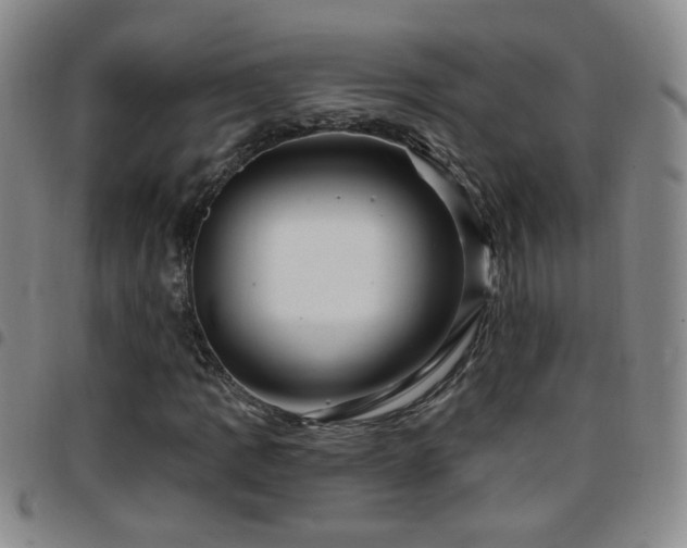 X0000097891109200803141326