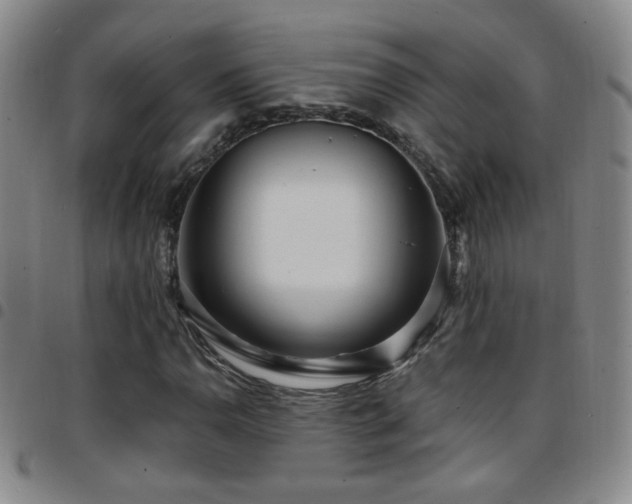 X0000097891110200803141326