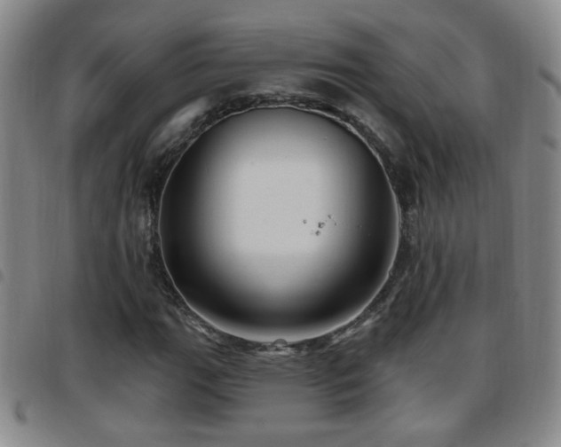 X0000097891111200803141326