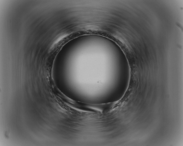 X0000097891112200803141326