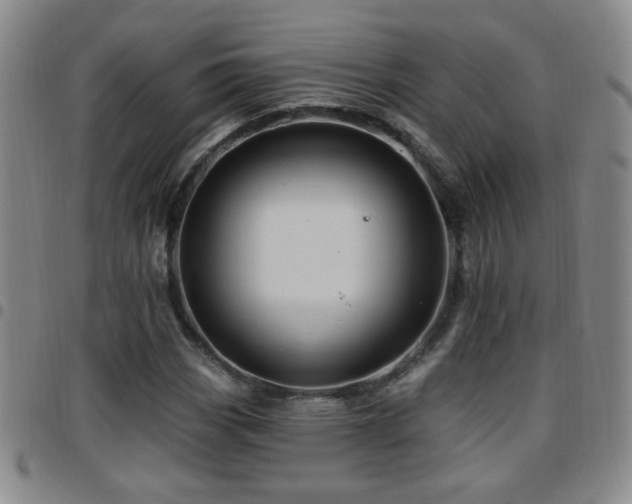 X0000097891113200803141326