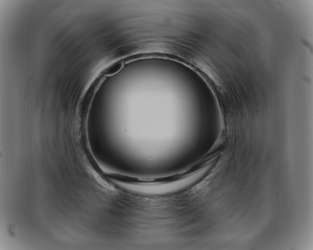 X0000097891116200803141326