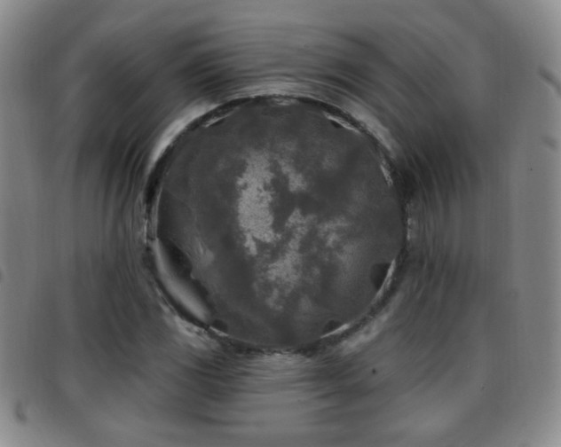 X0000097891117200803141326