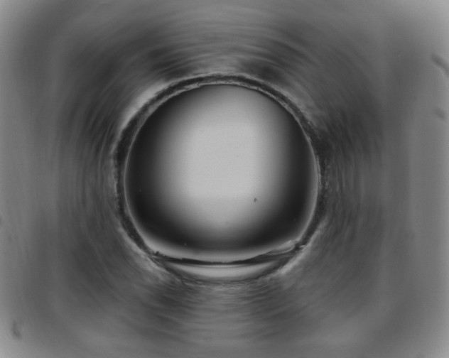 X0000097891118200803141326