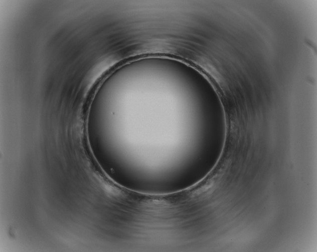 X0000097891119200803141326