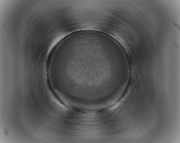 X0000097891120200803141326