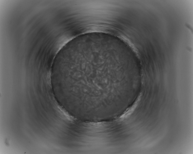 X0000097891121200803141327