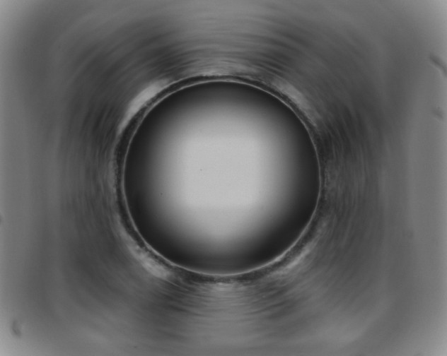 X0000097891122200803141327