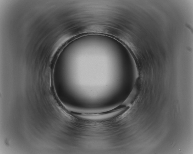X0000097891123200803141327
