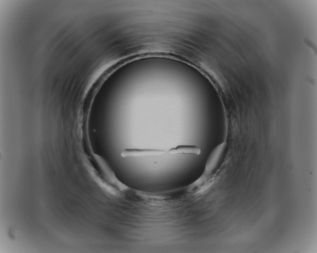 X0000097891124200803141327