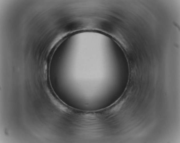 X0000097891126200803141327