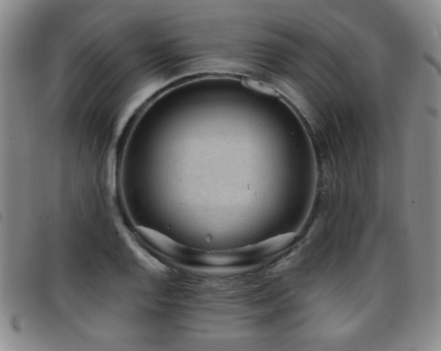 X0000097891128200803141327