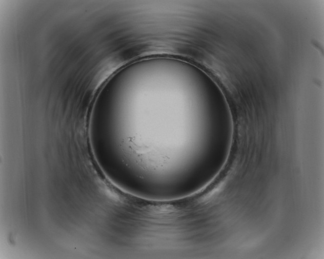 X0000097891129200803141327