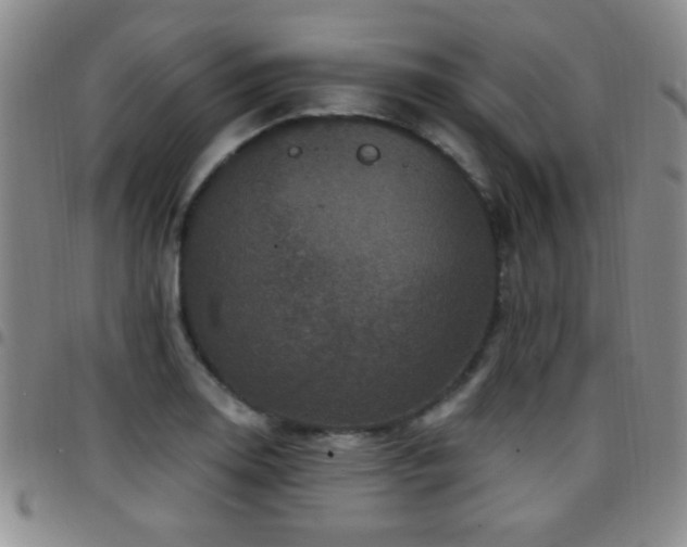 X0000097891130200803141327