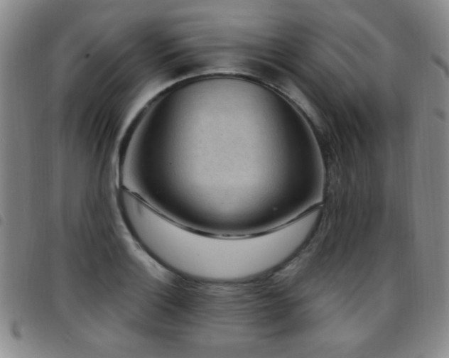 X0000097891132200803141327