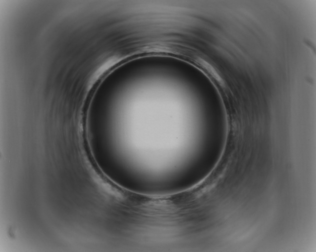 X0000097891133200803141327