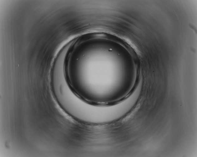 X0000097891134200803141327