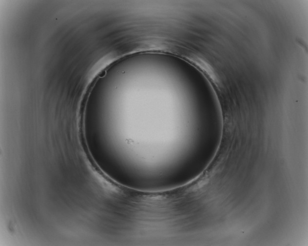 X0000097891135200803141327