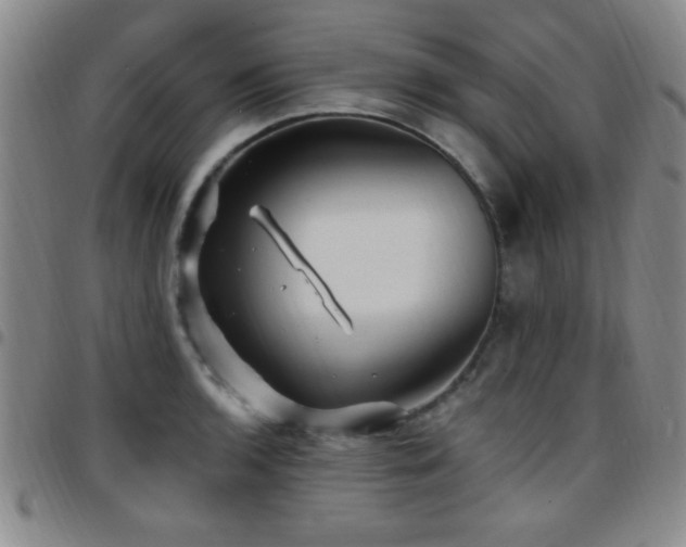 X0000097891136200803141327