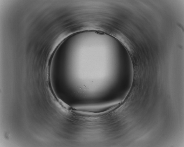 X0000097891140200803141327