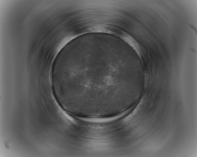 X0000097891141200803141327