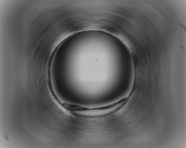 X0000097891142200803141327