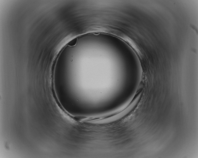 X0000097891143200803141327