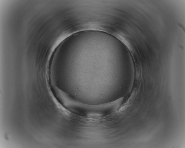 X0000097891144200803141327