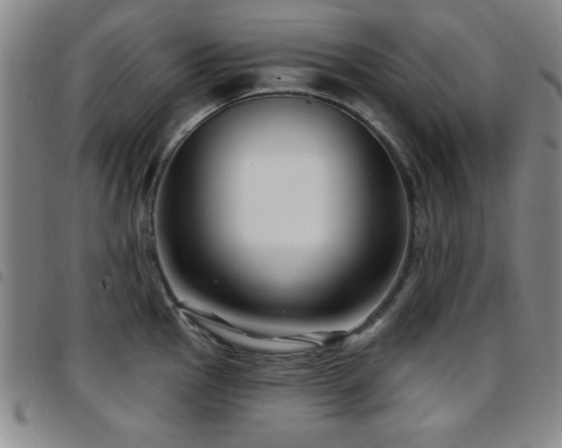 X0000097891145200803141327