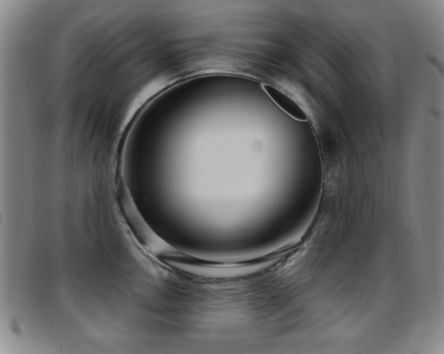 X0000097891146200803141327