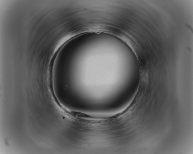 X0000097891147200803141327