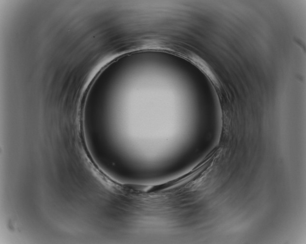 X0000097891148200803141327