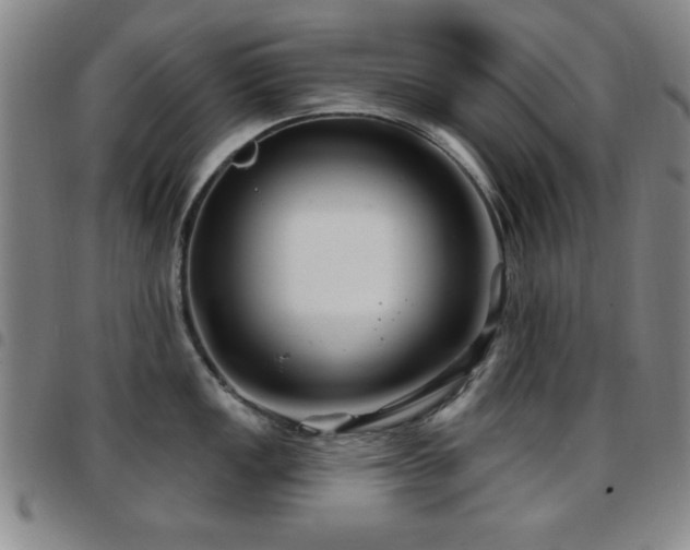 X0000097891149200803141327