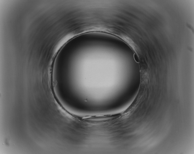 X0000097891151200803141327