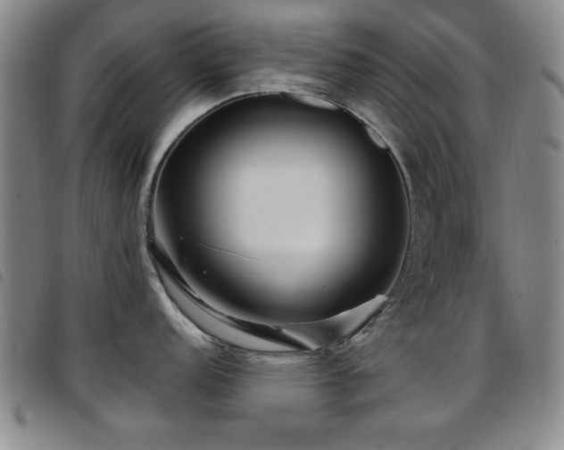 X0000097891152200803141327