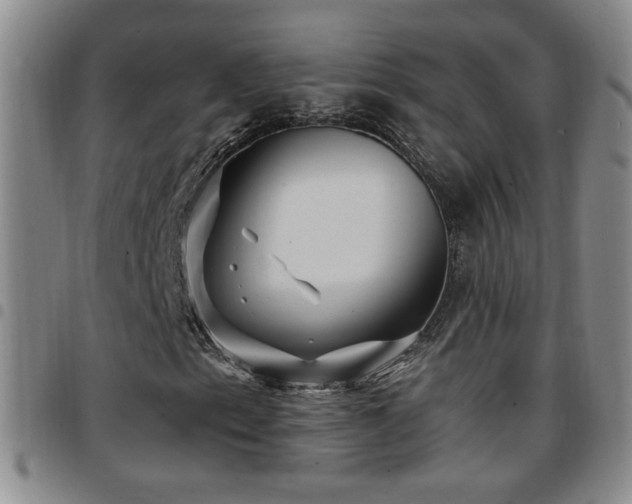 X0000097891153200803141326