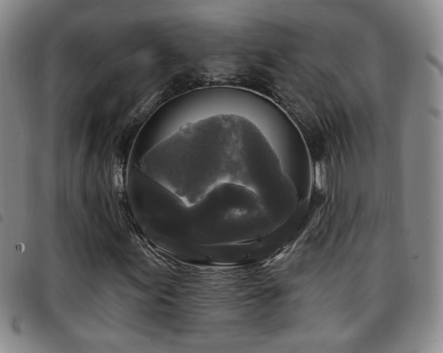 X0000097891155200803141326