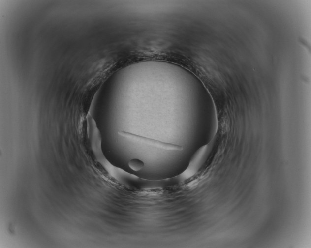 X0000097891156200803141326