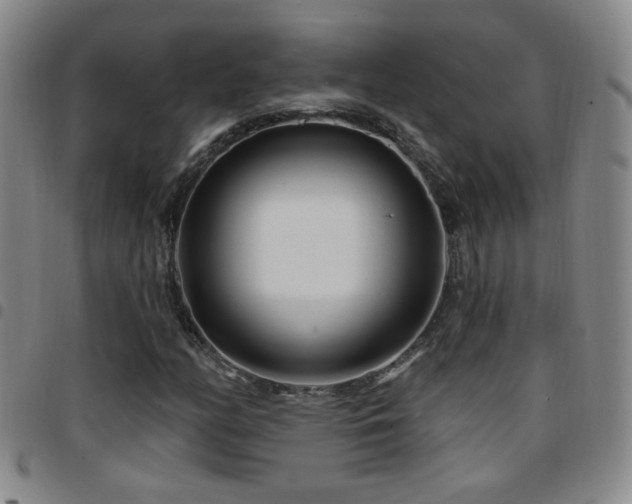 X0000097891158200803141326