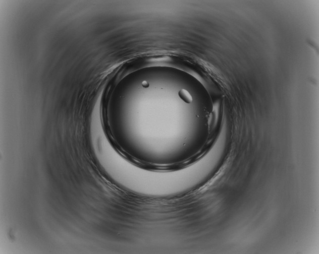 X0000097891161200803141326